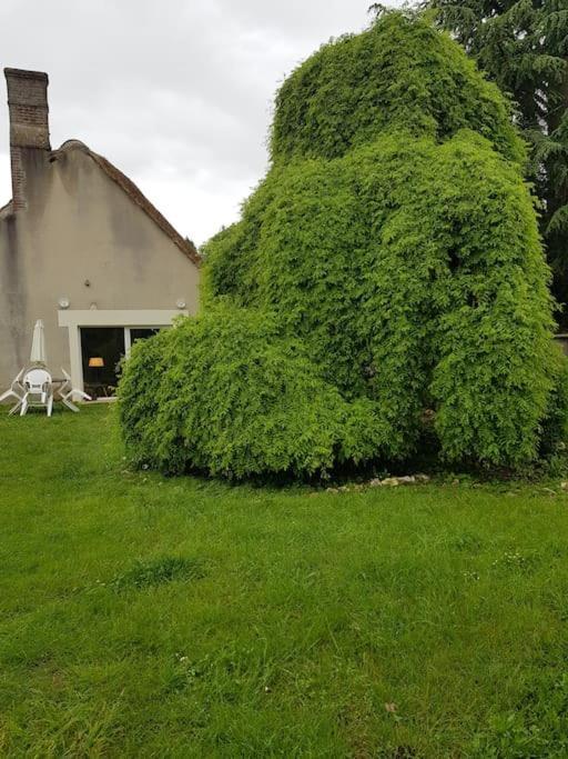 Chaumiere Avec Sa Toiture Recouverte De Chaume !!! * Donnemain-Saint-Mames