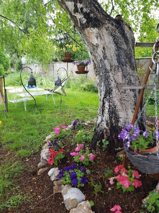 Chaumiere Avec Sa Toiture Recouverte De Chaume !!!